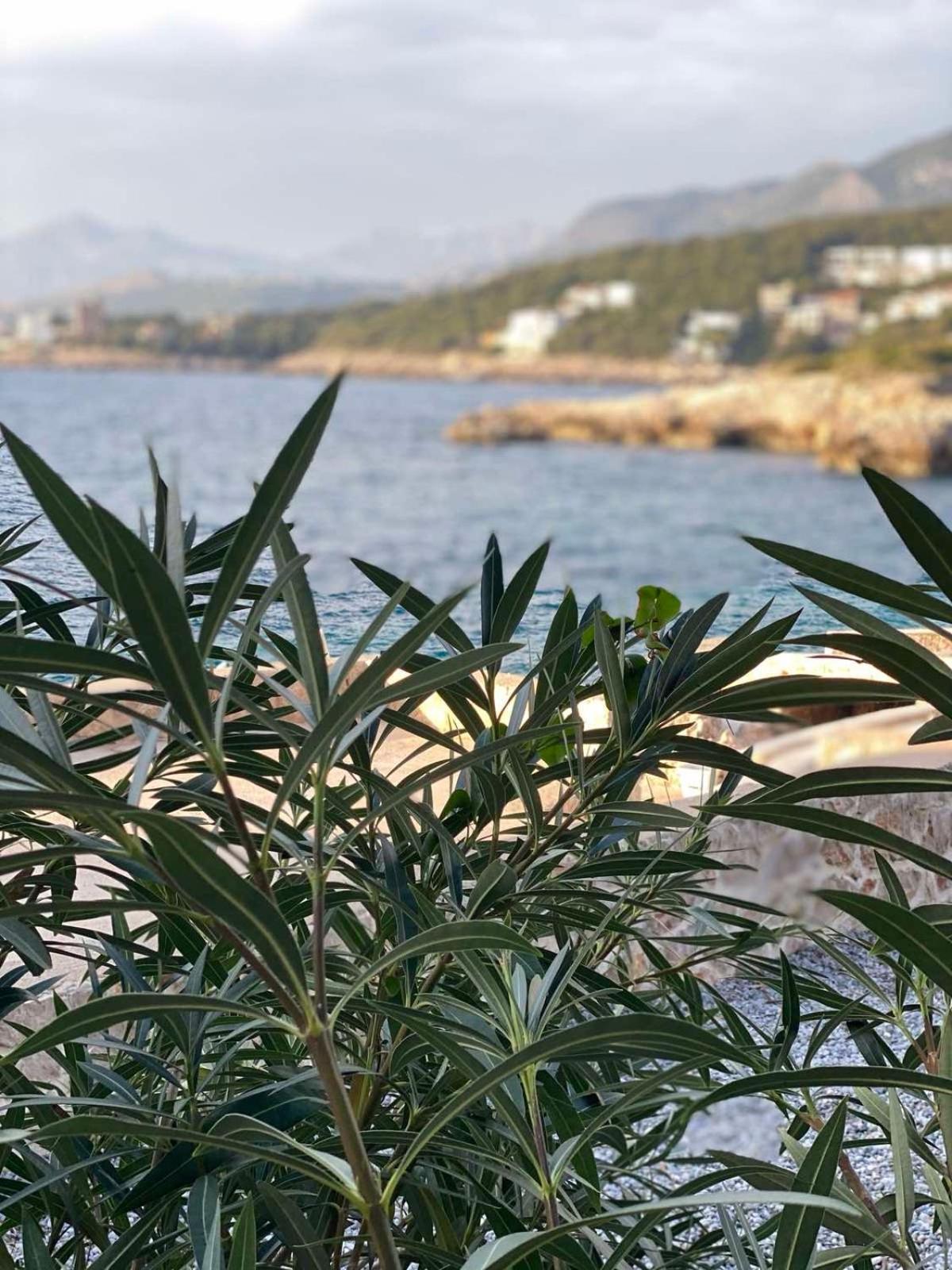 Seastar Eco Villa 우체하 외부 사진